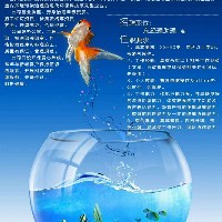 廣元晟泰環(huán)保科技有限公司