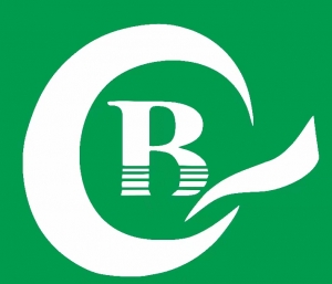廣元清北網絡有限公司
