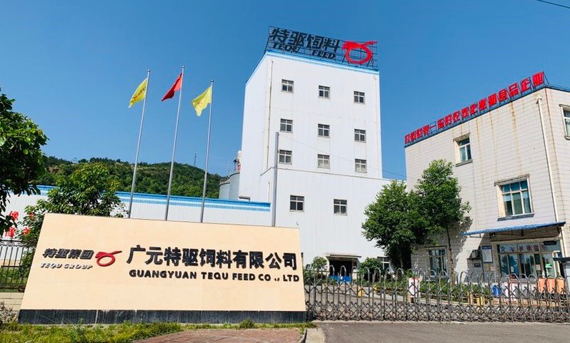 公司坐標(biāo)